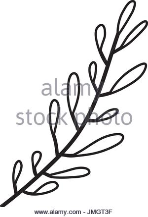 300x438 Drawing Of A Wavy Tree Stock Photo, Royalty Free Image 31521652