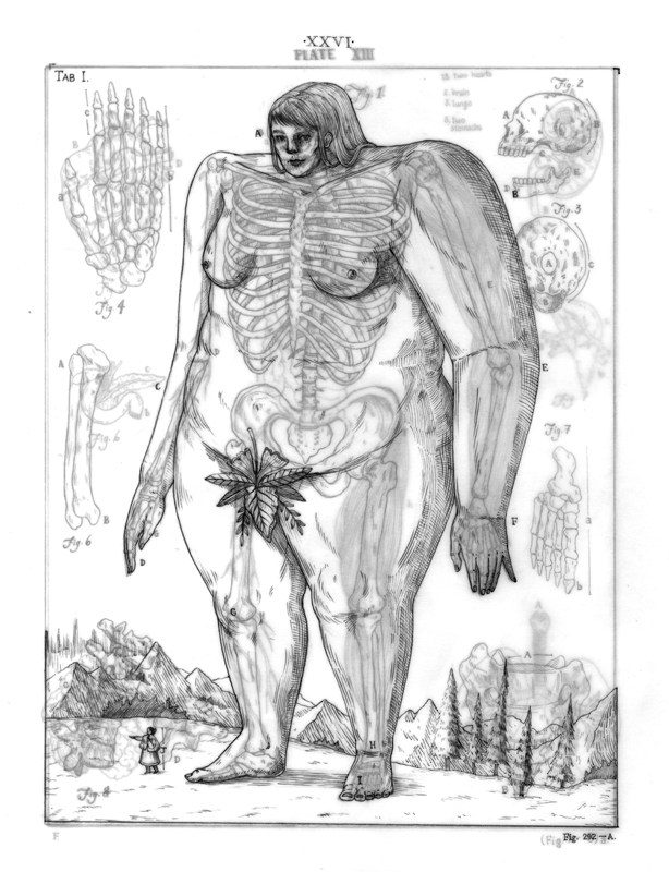 614x800 Encyclopedia Of The Domina Magna Shinyeon Moon