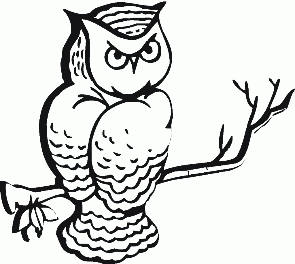 1024x916 Free Printable Owl Coloring Pages For Kids