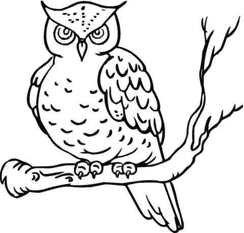 480x458 Owl 14 Coloring Page Free Printable Coloring Pages