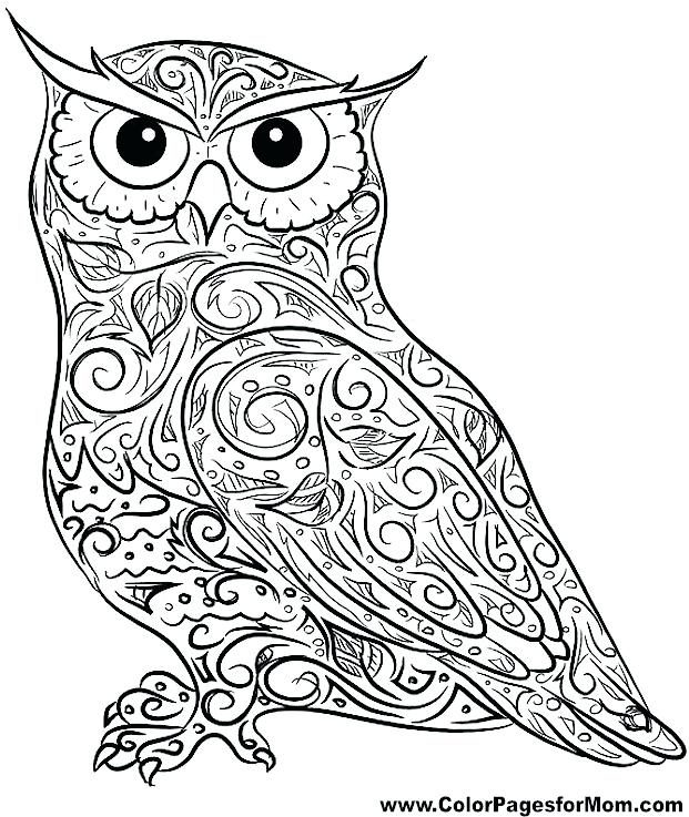 621x737 Coloring Pages Of Cute Baby Owls Awesome Activities Inspirational