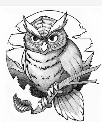 328x394 Pin By Cynthia Hood On Clipart Owl
