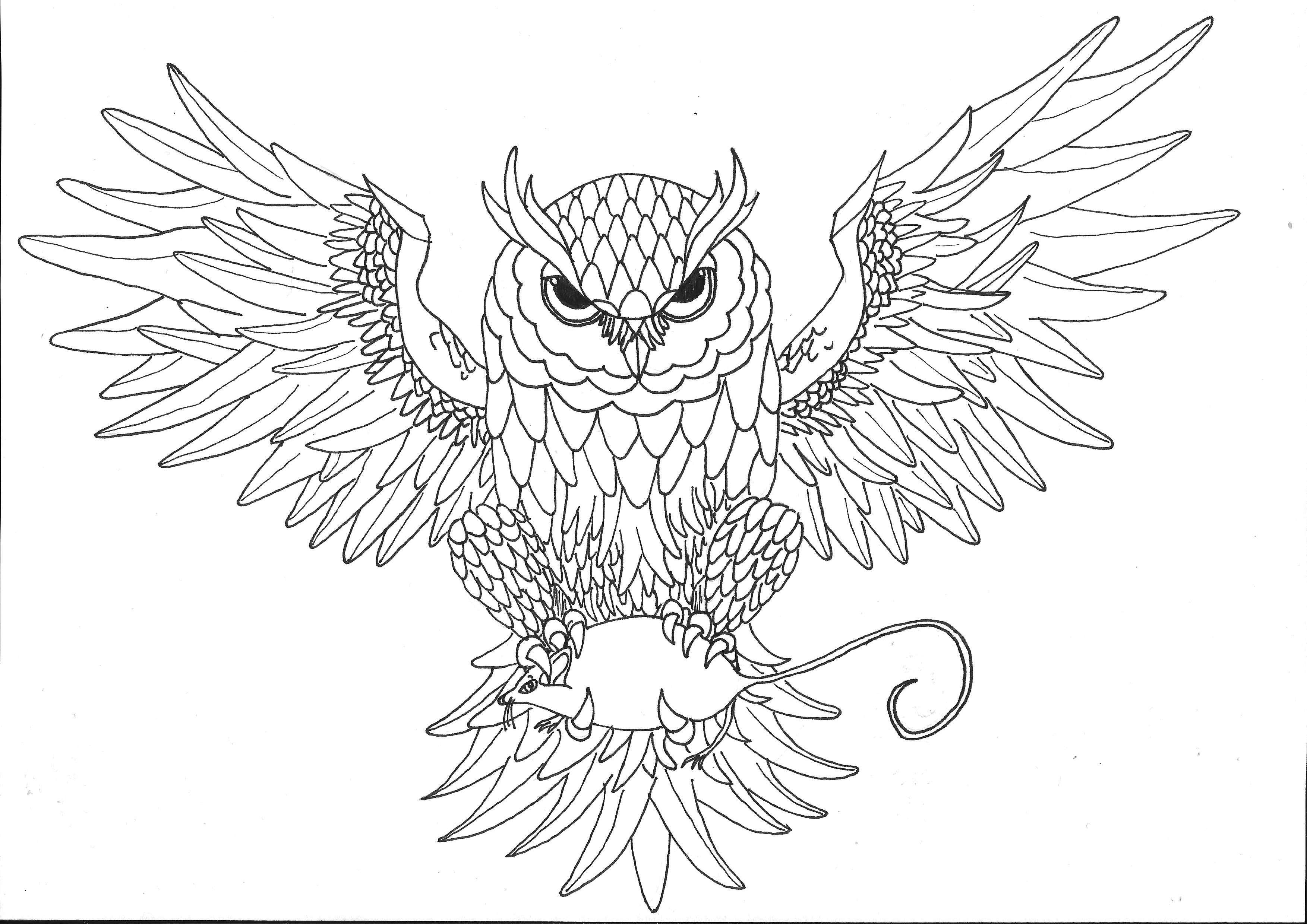 Owl Drawing at GetDrawings | Free download