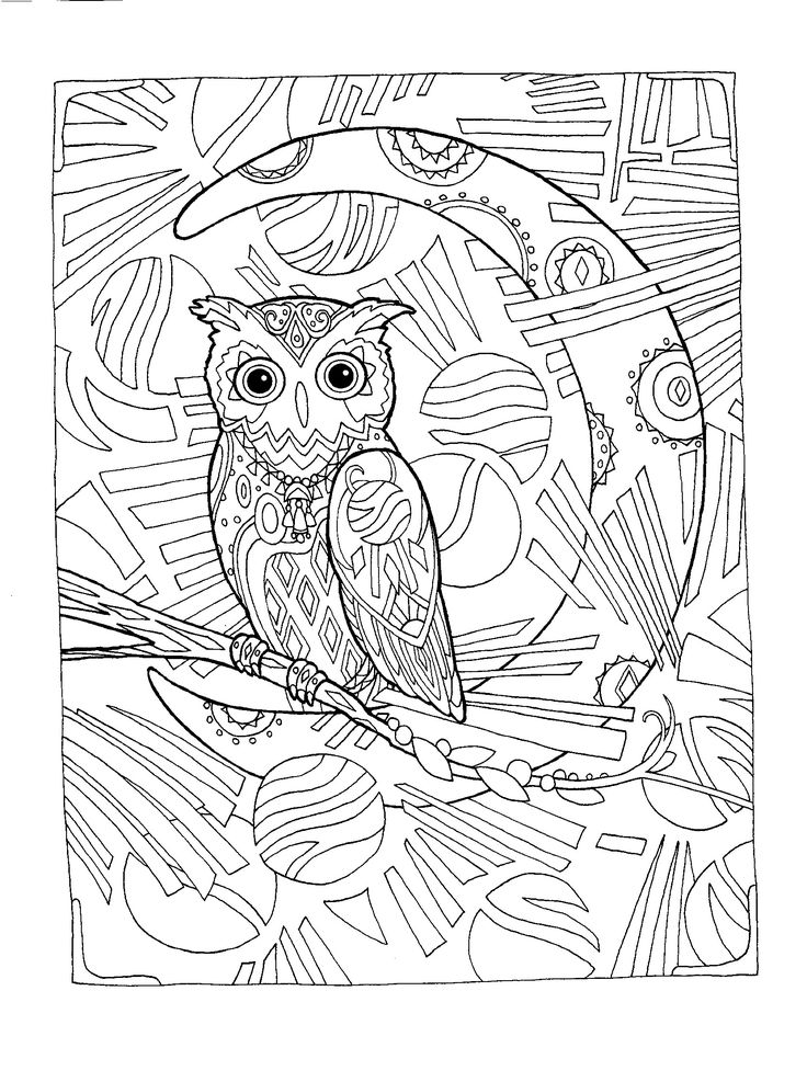 Owl Drawing Black And White