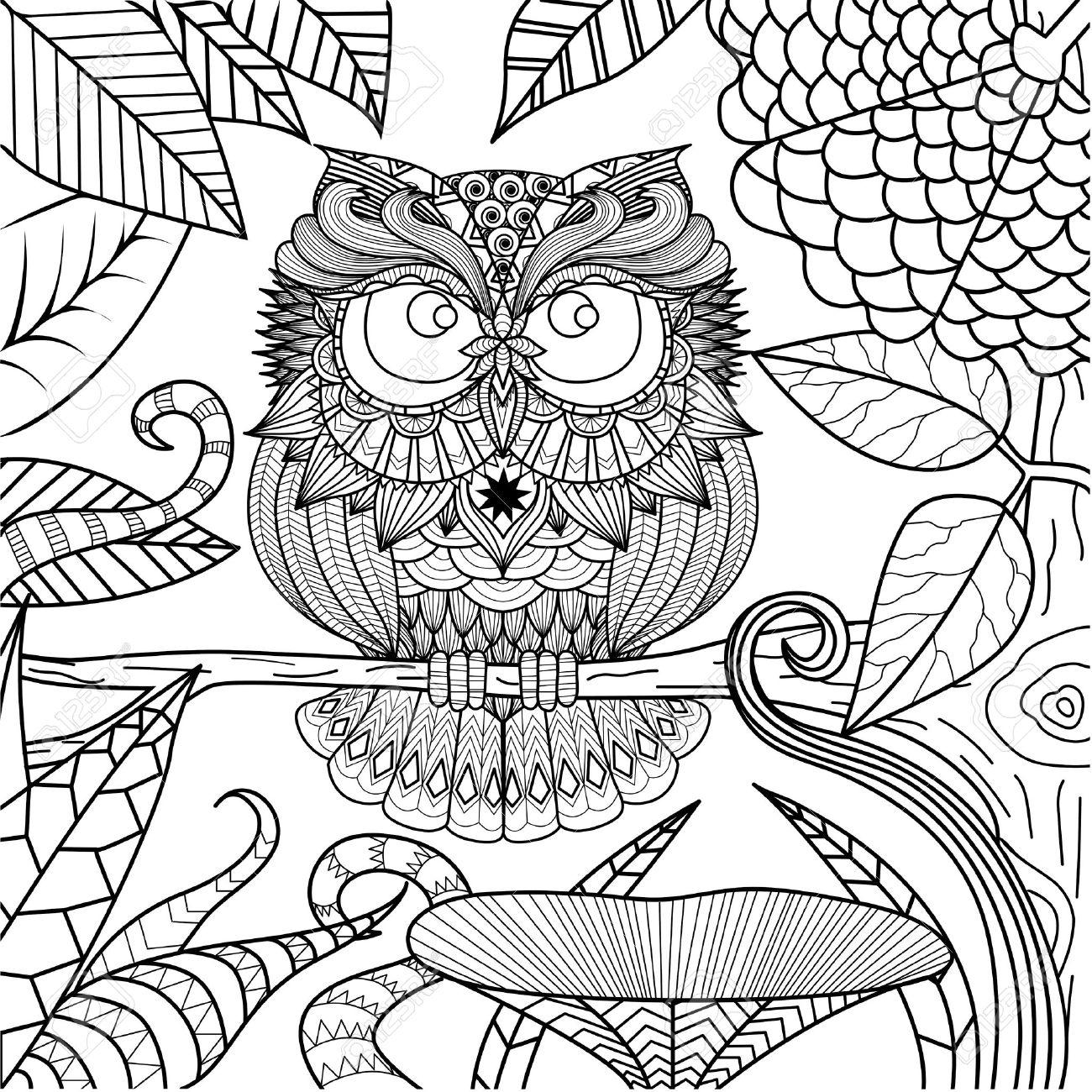 1300x1300 Owl Drawing For Coloring Book. Royalty Free Cliparts, Vectors,
