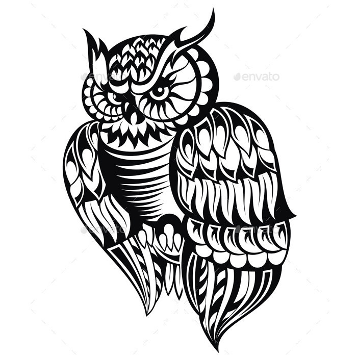 700x700 Owl Illustration Free Amp Premium Templates