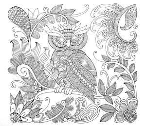 300x259 Black And White Owl Drawings Fine Art America