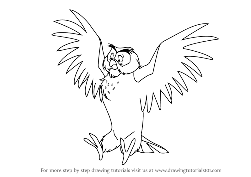 800x566 Learn How To Draw Owl From Winnie The Pooh (Winnie The Pooh) Step