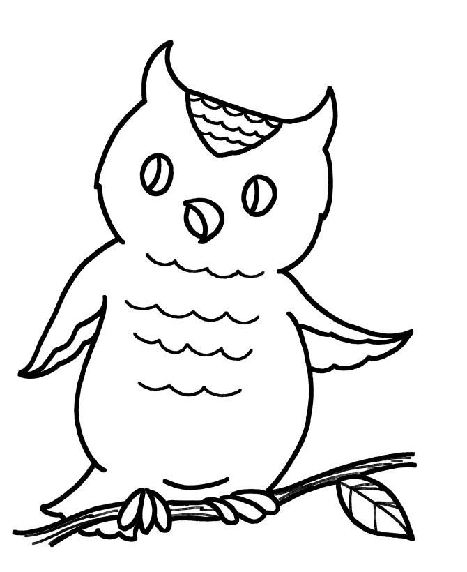 670x820 Cartoon Owl Pictures For Kids Many Interesting Cliparts