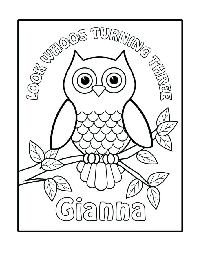 687x889 Owl Coloring Best Colorful Owl Ideas On Cool Drawings Shining Star