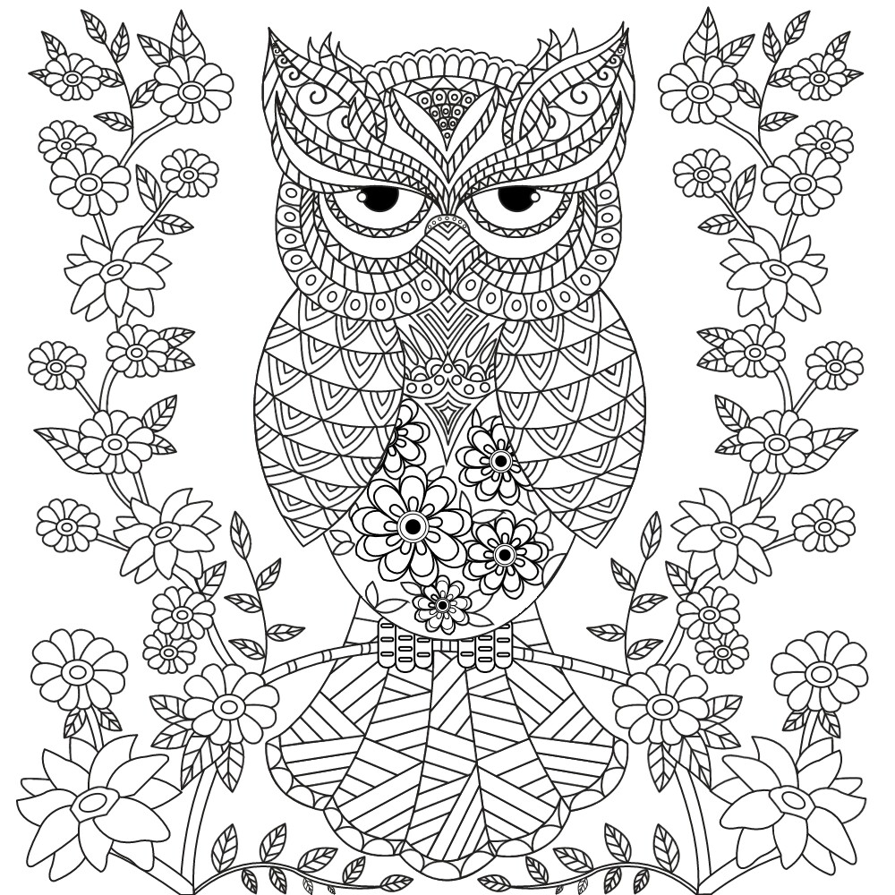 1000x1000 Owl Coloring Page Design Patterns Owl, Adult
