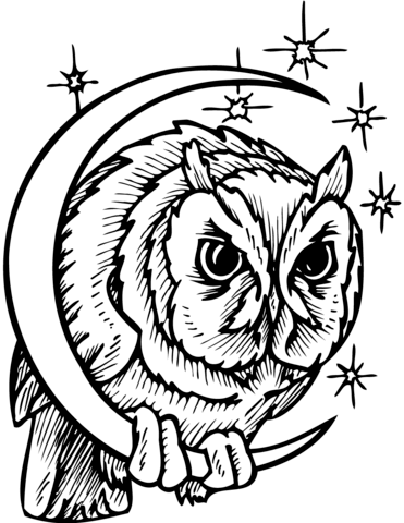 371x480 Owl In Crescent Moon Coloring Page Free Printable Coloring Pages