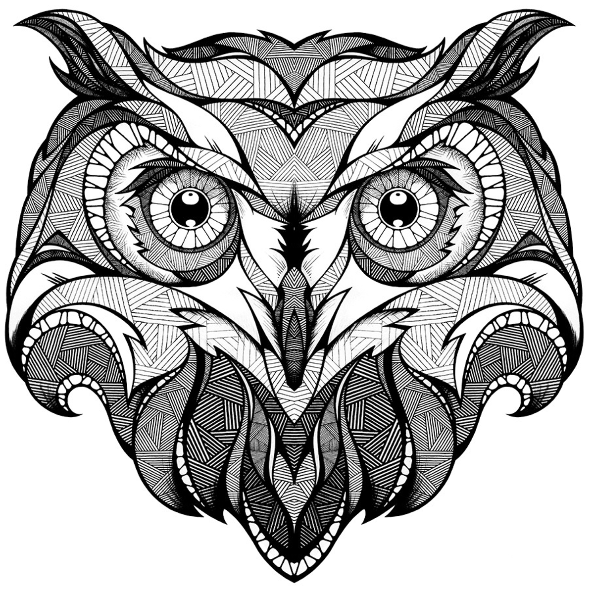 1200x1200 Coruja Para Colorir 20 Draw Color Paint Create Owl