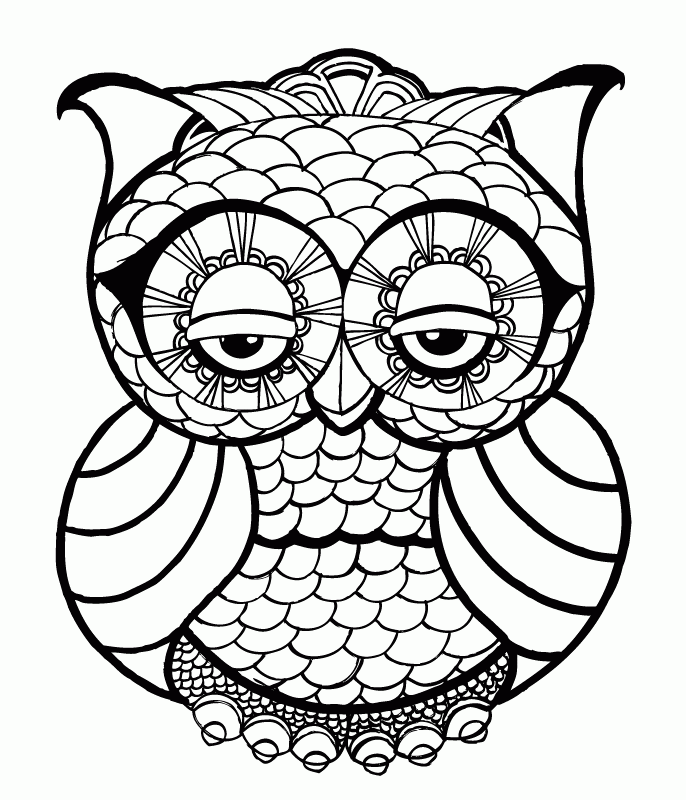 686x800 Owl Line Drawing