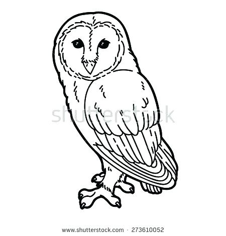 450x470 Barn Owl Coloring Page Snowy Owl Coloring Pages Barn Owl Coloring