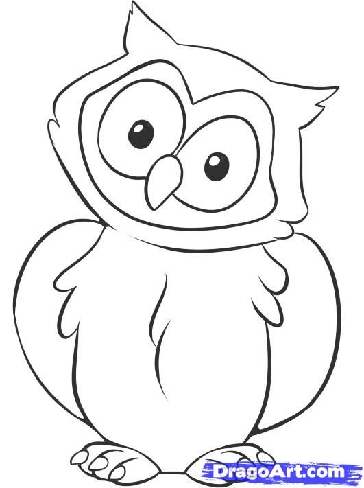 531x711 Drawn Owl Easy