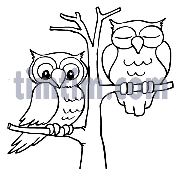 604x564 Drawn Owl Tree Drawing