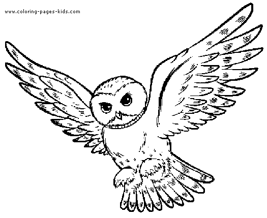525x429 Latest Printable Owl Pictures Best 25 Ideas On Drawing