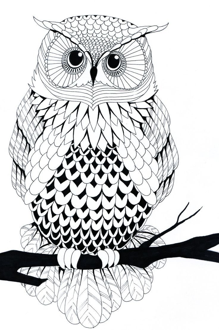 736x1109 Trend Owl Stencil Printable Awesome Ideas For You