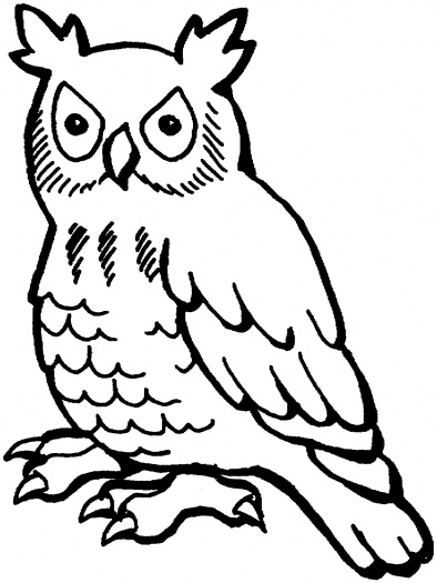 394x525 Astonishing Owl Outline 37 Best Wisdom Tattoo Images