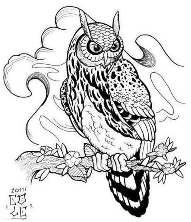 654x759 Best Photos Of Owl Outline Designs