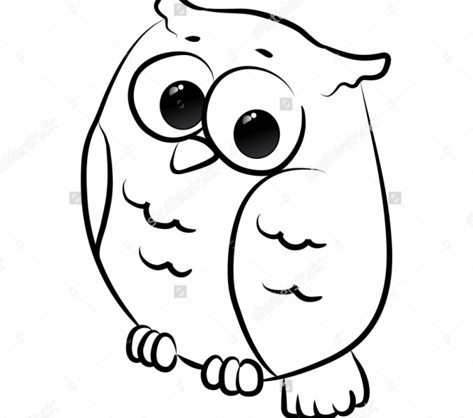 678x600 Owl Drawing Cartoon Kids Coloring