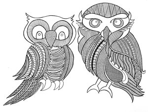 300x228 Owl Drawings Fine Art America