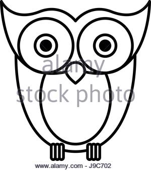 300x340 Drawing Face Owl Bird Character Stock Vector Art Amp Illustration