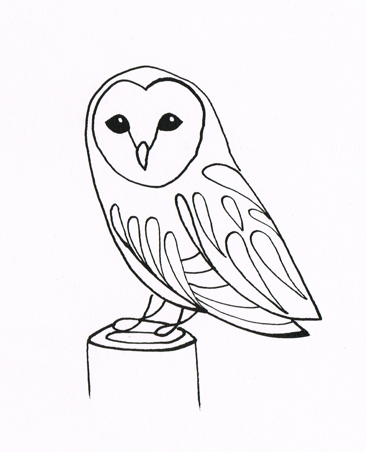 750x926 Line Drawings Of Owls Simple Owl Drawing Bentheillustrator Barn