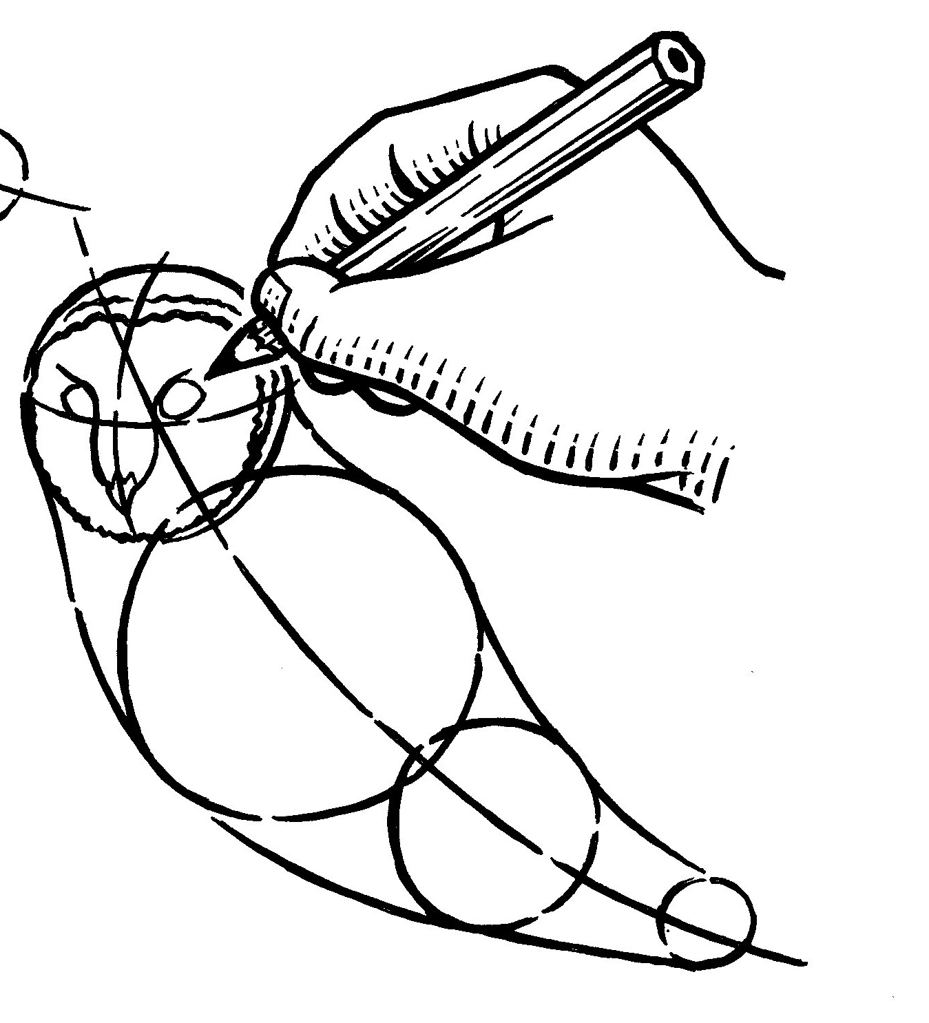 1349x1486 How To Draw A Barn Owl