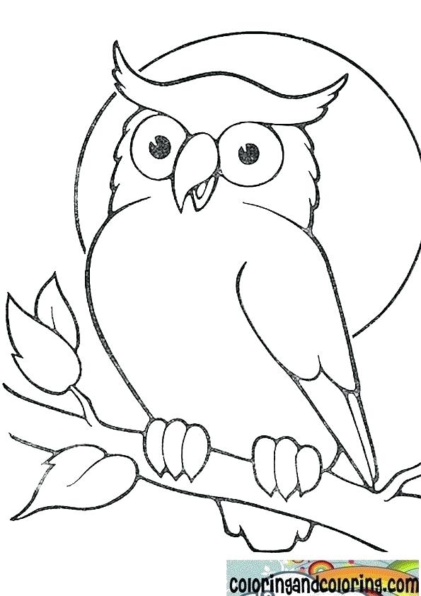 595x842 Coloring Pages Draw An Owl Trendy Ideas Coloring Pages Draw An Owl