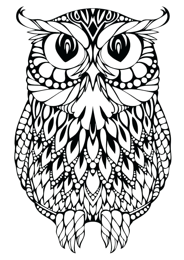 736x1041 Simple Owl Color Page Print Coloring Pages Here Is A Small