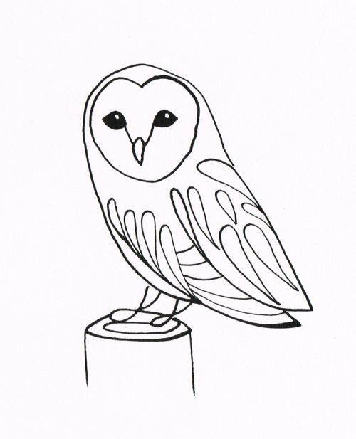 500x617 Barn Owl Pen And Ink Art