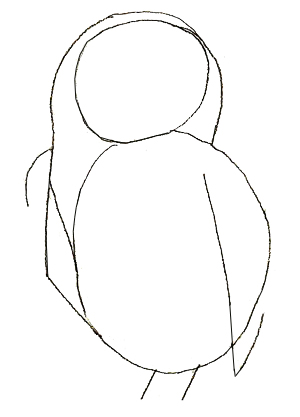 300x417 How To Draw An Owl