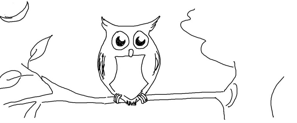 1024x426 How To Draw An Owl Step By Step Easy Simple Cartoon Drawings