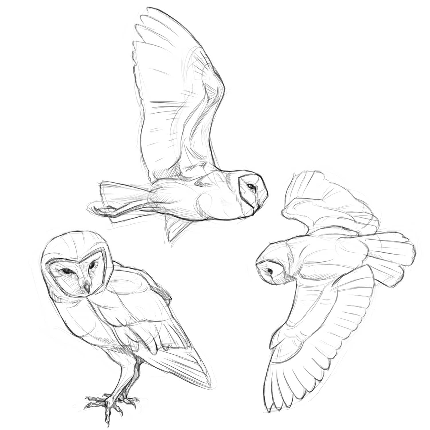 1500x1500 Google Image Result For Izuj Crtrga