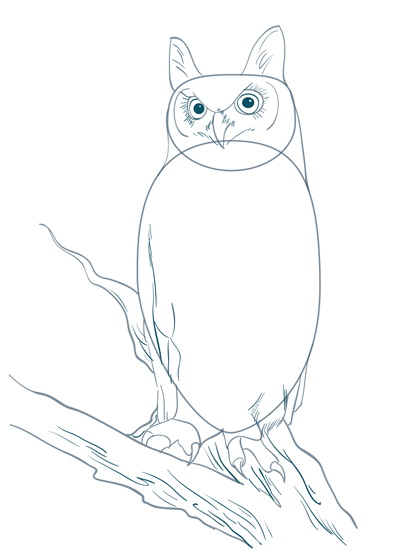 400x560 How To Draw A Realistic Owl Sketchbook Challenge 48