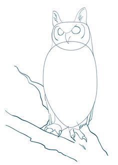 236x330 How To Draw A Realistic Owl Step By Step Drawing Tutorials Art