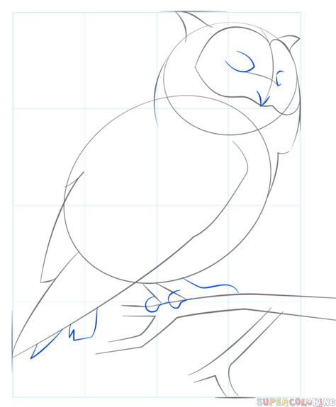474x575 How To Draw A Realistic Owl Step By Step Drawing Tutorials