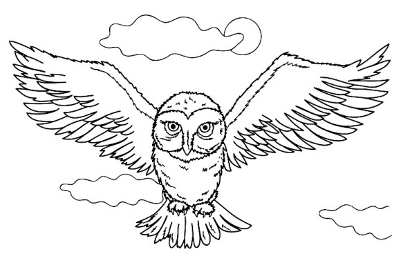 580x371 Hedwig Harry Potter Owl Coloring Pages Animal Bebo Pandco