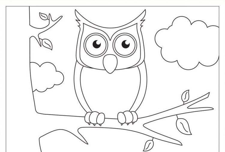 750x505 Owl Drawing To Print And Diy Fun For Kids!