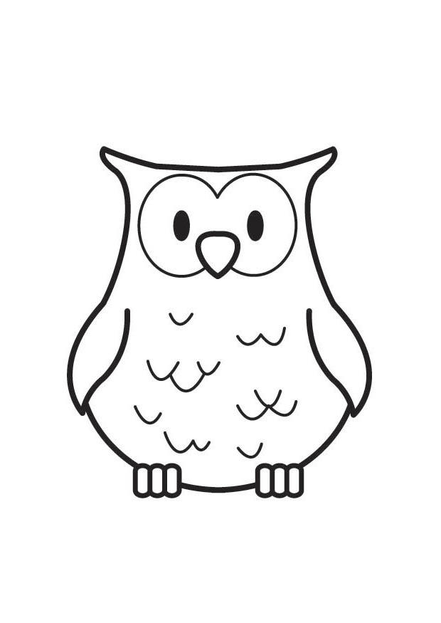 620x875 Coloring Page Owl