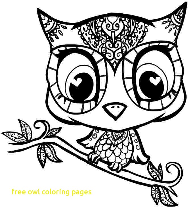666x732 Free Owl Coloring Pages With Owl Eye Coloring Page Download