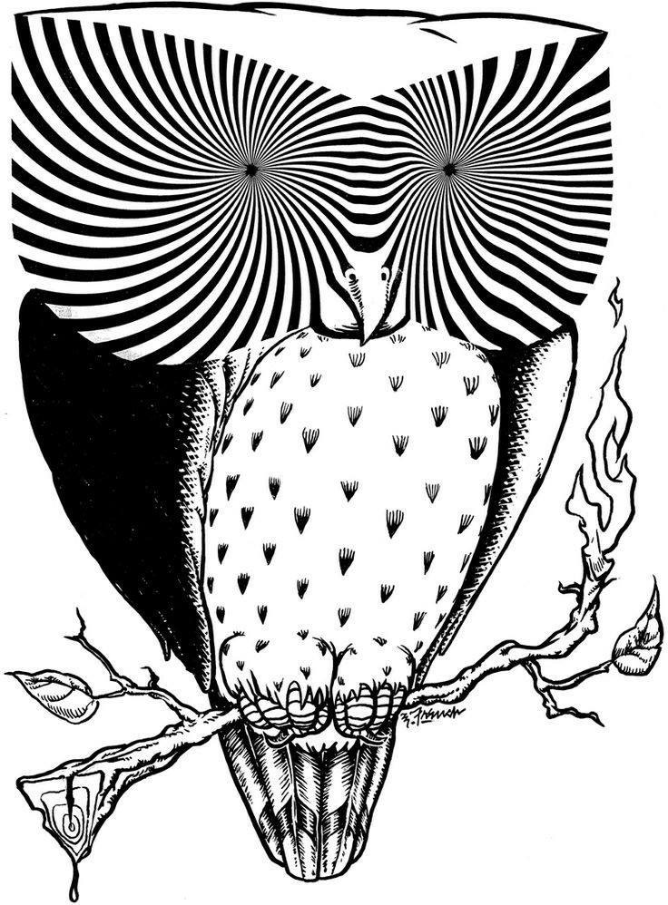 736x998 Pin By Glenda Settle On Owls Owl, Sketches And Draw
