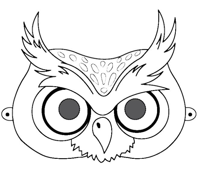 660x604 31 Best Owl Rocks Images On Owls, Owl Rocks And Barn Owls