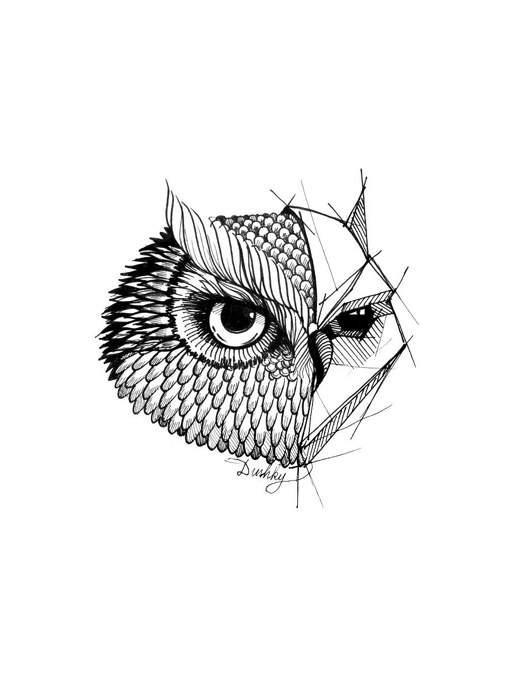 Owl Eye Drawing at GetDrawings | Free download