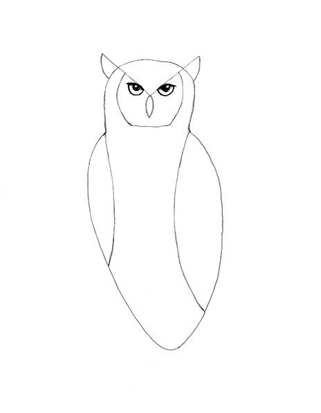 464x597 How To Draw An Owl Lovetoknow