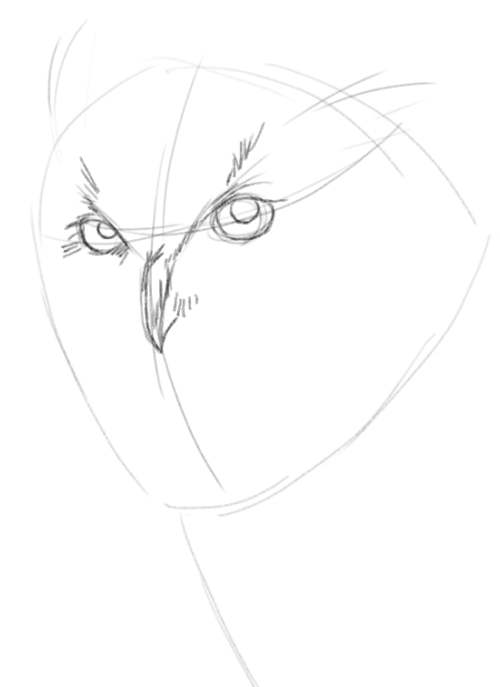 500x687 Owl Drawings Free Art Lesson.