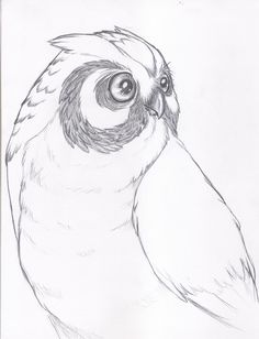 236x308 Work In Progress. Psychedelic Horned Owl, Leather Mask