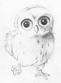 236x318 Owl Eyes Bulletin Board Ideas Owl Eyes, Owl